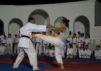 karate (1) (Αντιγραφή)